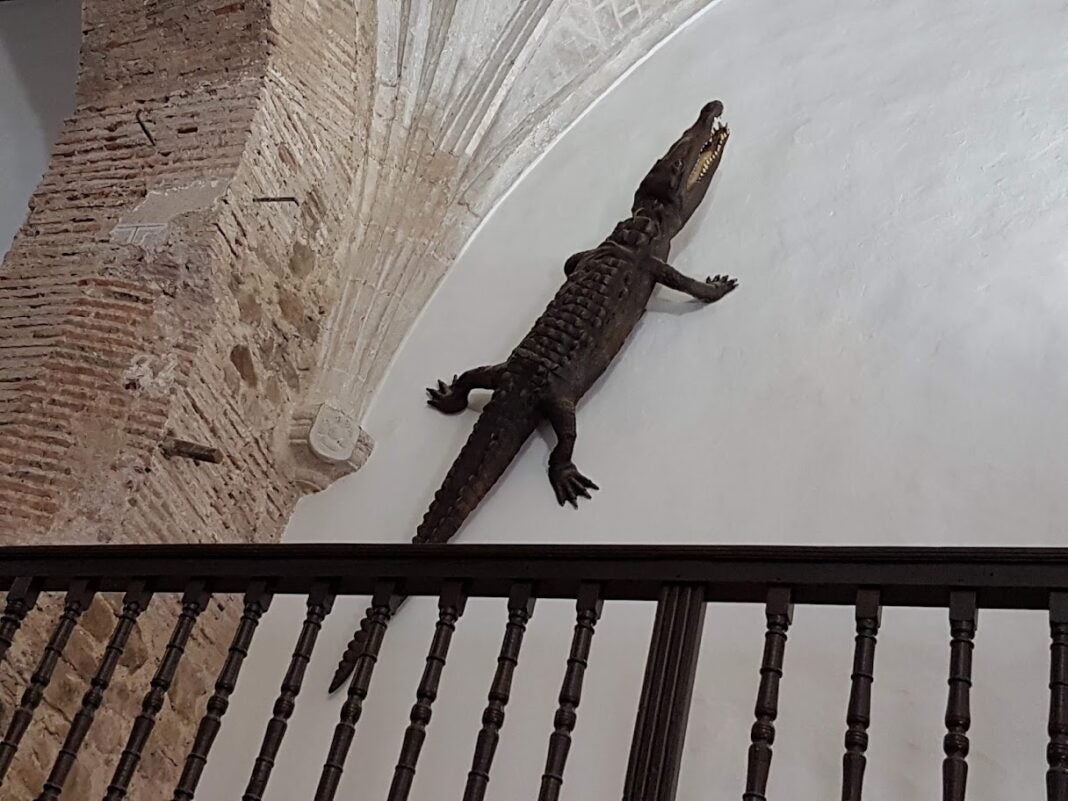 Arteando Ciudad Real con Arte Arteando Ciudad Real con Arte