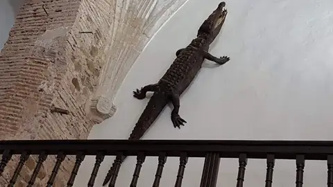 El lagarto del Viso El lagarto del Viso