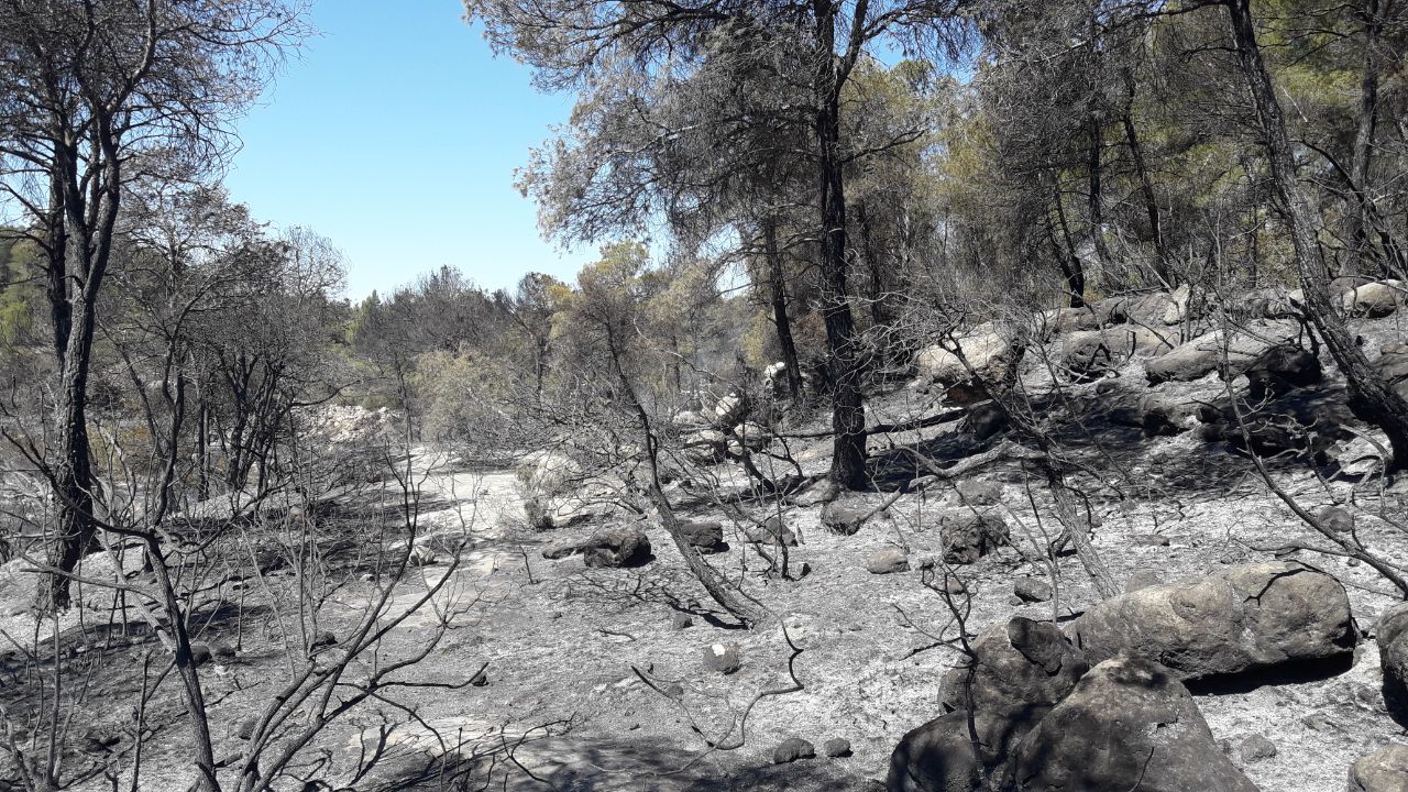 Los vecinos de Lledó vuelven a casa tras el incendio Los vecinos de Lledó vuelven a casa tras el incendio