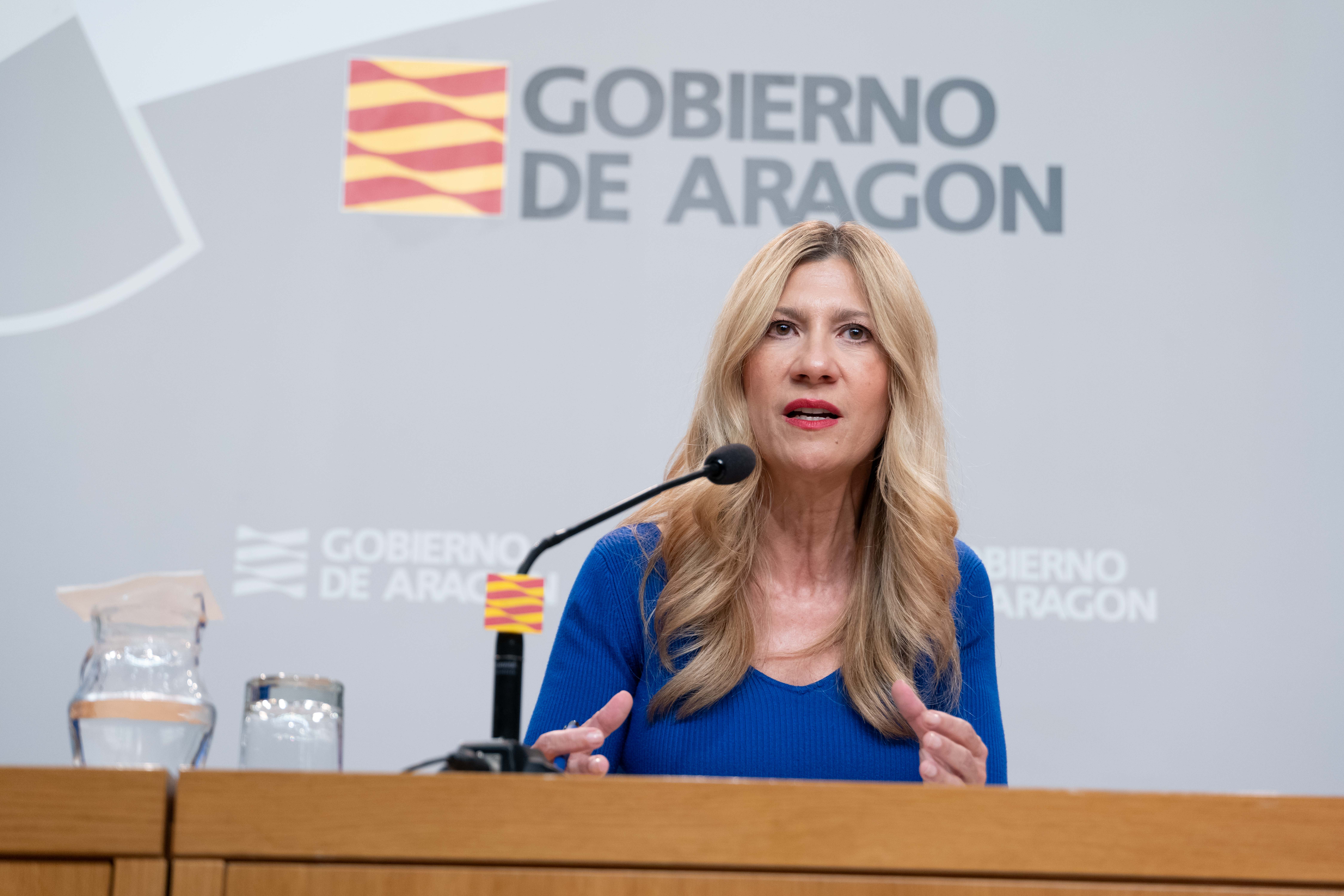 Aragón presenta 24 alegaciones para pedir más inversión en distribución Aragón presenta 24 alegaciones para pedir más inversión en distribución