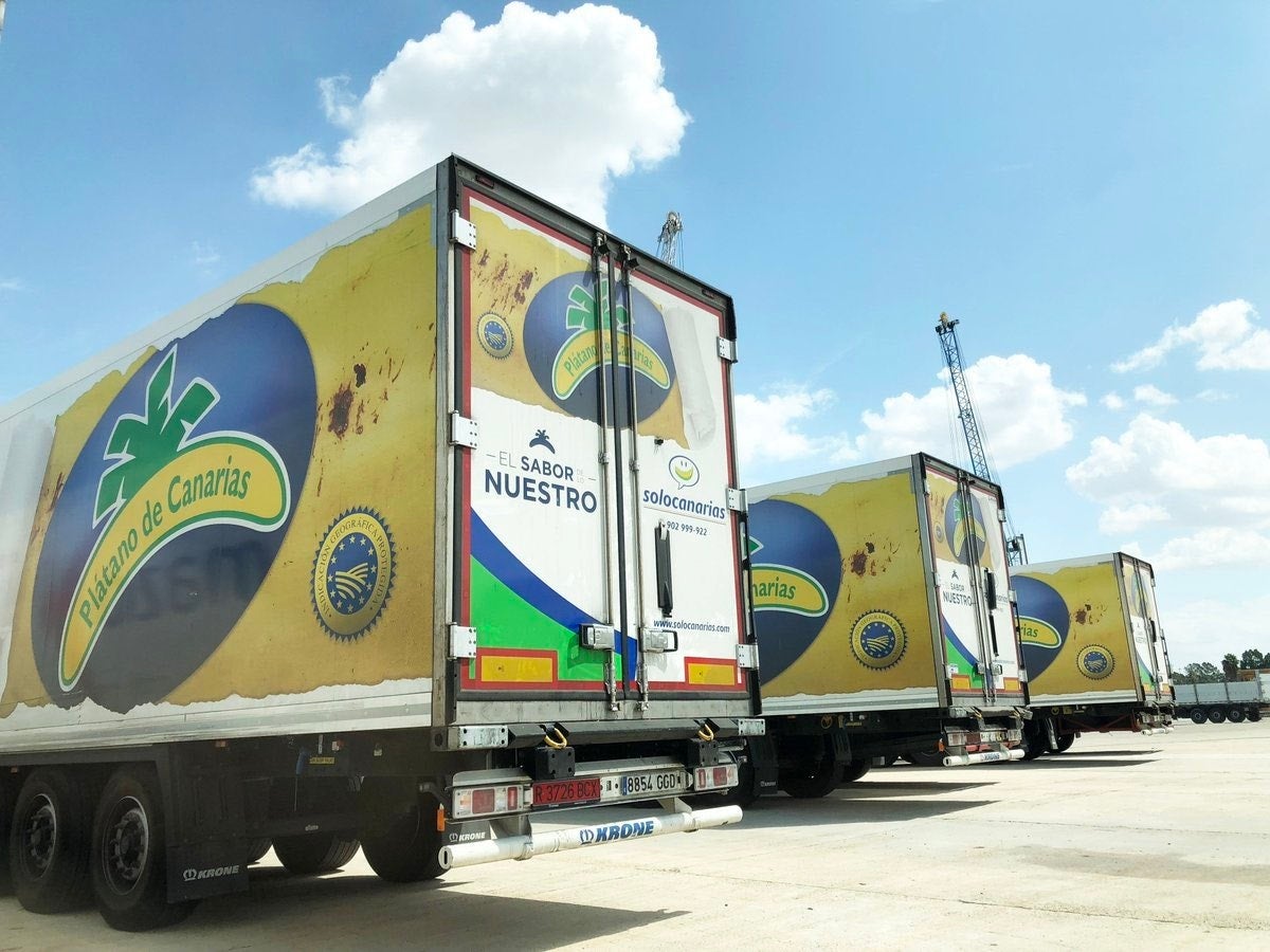 Los productores de Plátano de Canarias piden alternativas inmediatas para cubrir los gastos del transporte en 2023