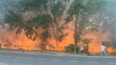 Incendio en las Laguas de Ruidera