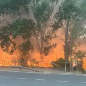 Incendio en las Laguas de Ruidera Incendio en las Laguas de Ruidera
