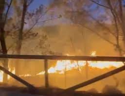 Dos jóvenes se personan ante la Guardia Civil como presuntos autores del incendio de Ruidera pero al final no declaran Dos jóvenes se personan ante la Guardia Civil como presuntos autores del incendio de Ruidera pero al final no declaran