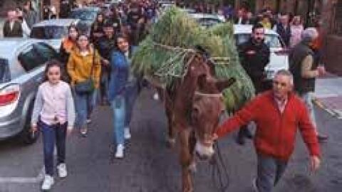 Fiesta de La Espiga.