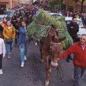 Fiesta de La Espiga.