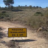 Camí del Puntal donde se ha ejecutado el cortafuegos