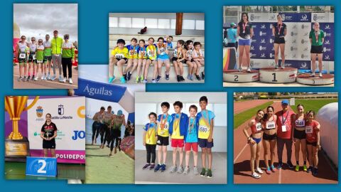 Primavera de buenos resultados en el triatl&oacute;n, el atletismo y el tenis de mesa segovianos
