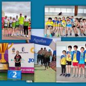 Primavera de buenos resultados en el triatlón, el atletismo y el tenis de mesa segovianos