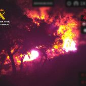 Terribles imágenes nocturnas de un incendio forestal en la provincia