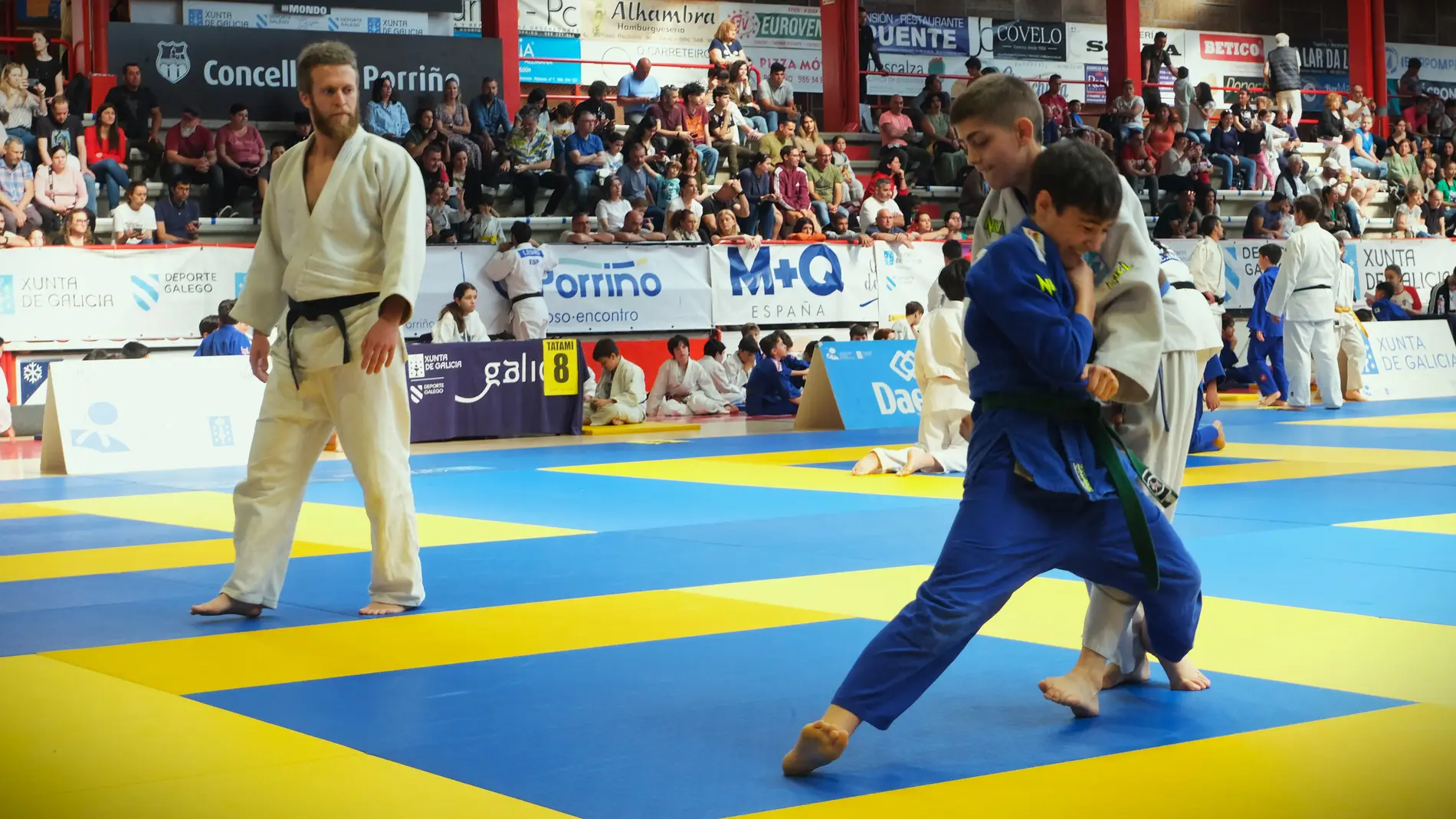 Excelentes resultados dos judokas ourensanos no 'Xoga Judo 2024'