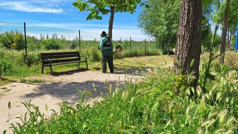 Operario del Ayuntamiento de Alcal&aacute; de Henares realizando tareas de desbroce