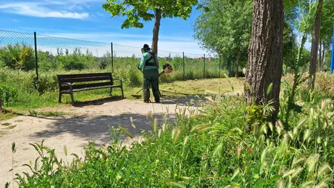 El Ayuntamiento de Alcalá de Henares intensifica las tareas de desbroce de las parcelas municipales para evitar incendios este verano Operario del Ayuntamiento de Alcalá de Henares realizando tareas de desbroce