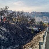 incendio junto a la AP 7 a su paso por Altea
