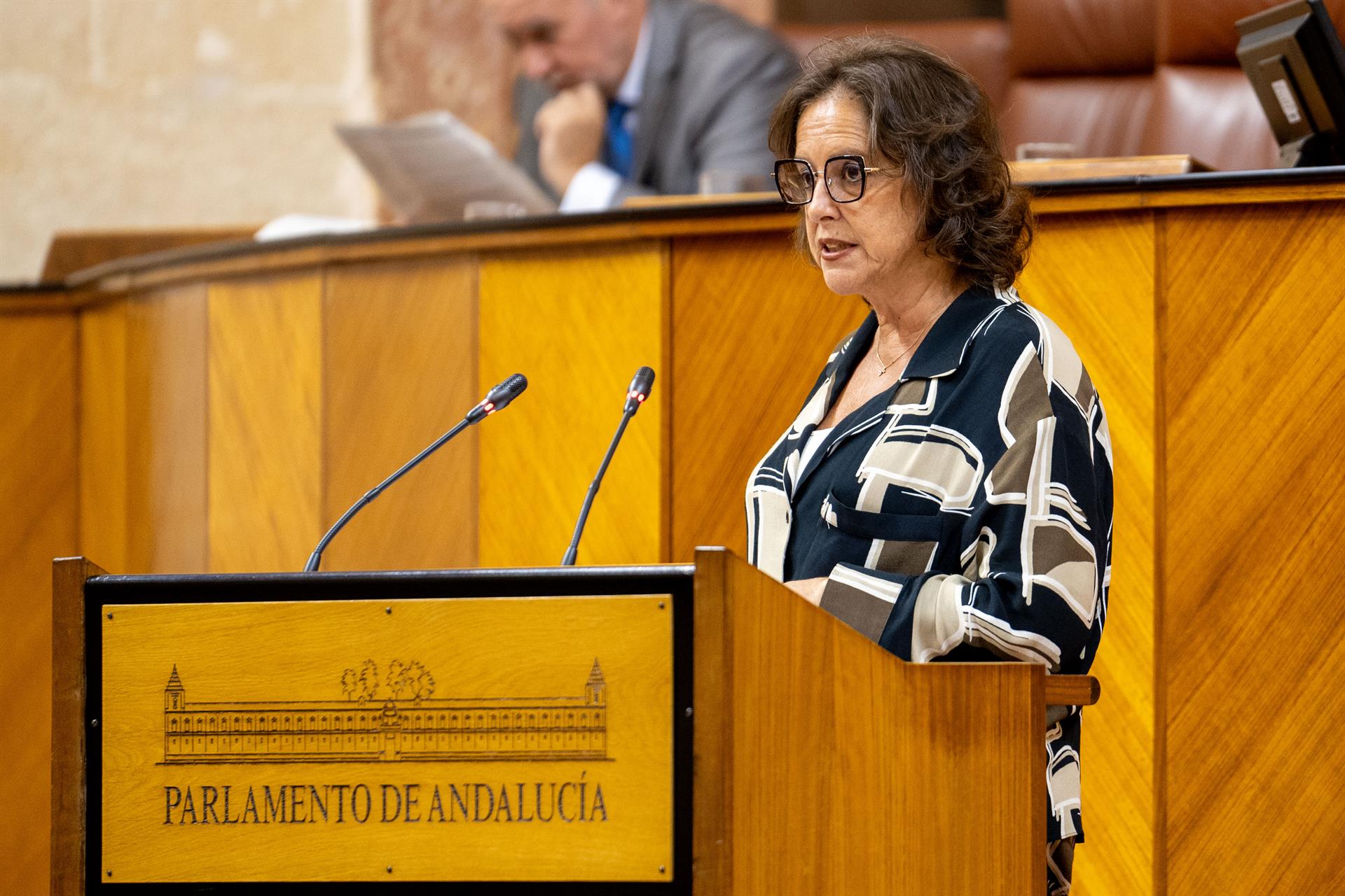 El Pleno del Parlamento acoge este miércoles una comparecencia de la consejera de Salud sobre el Plan de Verano del SAS El Pleno del Parlamento acoge este miércoles una comparecencia de la consejera de Salud sobre el Plan de Verano del SAS