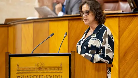 El Pleno del Parlamento acoge este miércoles una comparecencia de la consejera de Salud sobre el Plan de Verano del SAS El Pleno del Parlamento acoge este miércoles una comparecencia de la consejera de Salud sobre el Plan de Verano del SAS