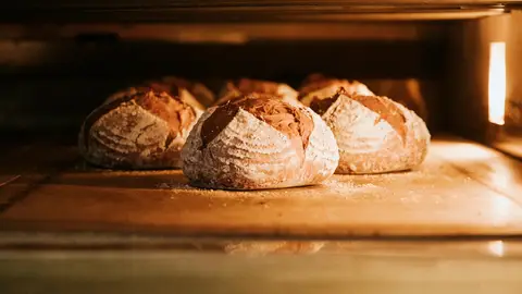 Pan de La Madrugada Pan de La Madrugada