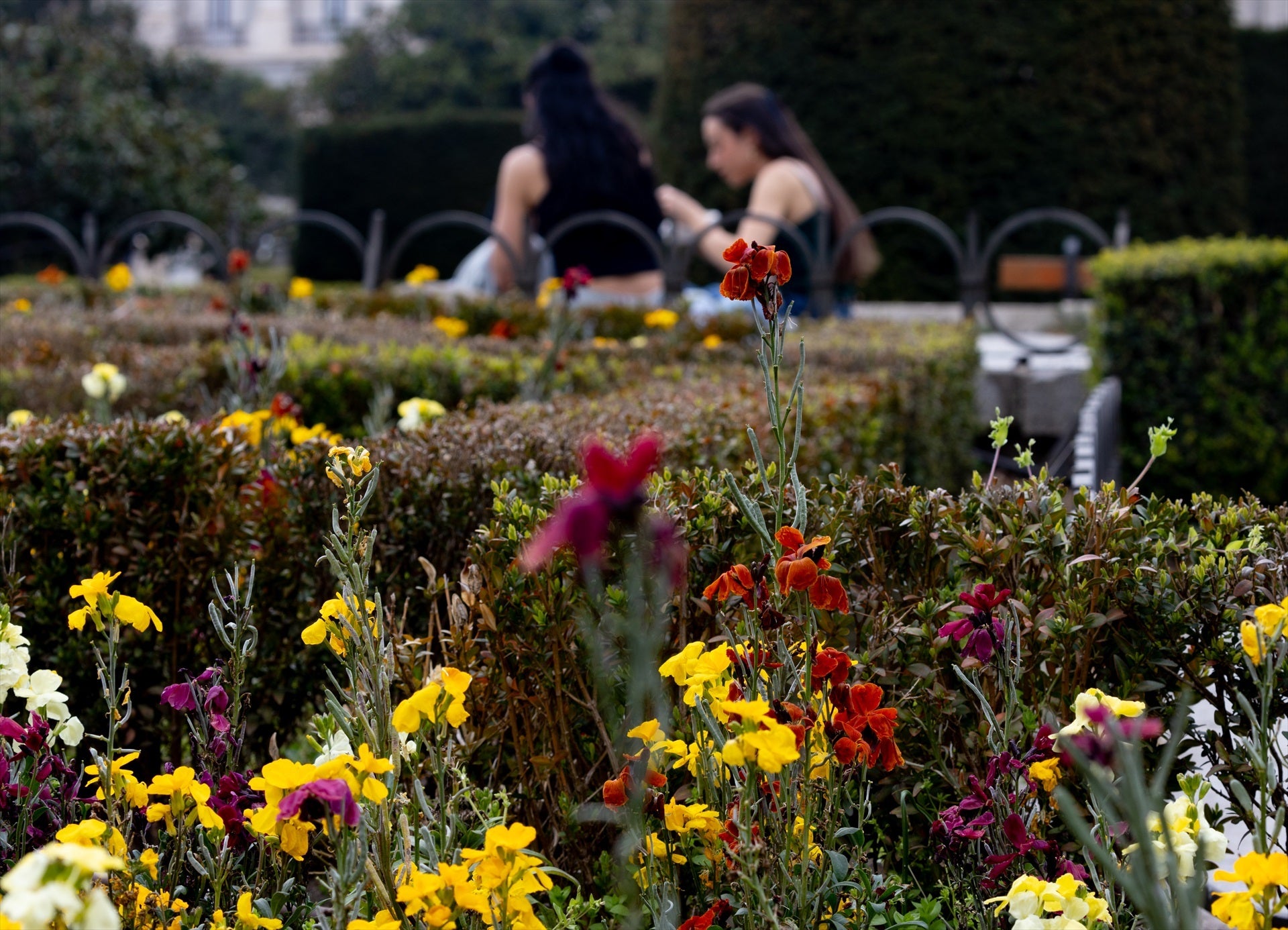 El fin de semana llega con un ligero ascenso de las temperaturas y lluvias en algunas zonas de España El fin de semana llega con un ligero ascenso de las temperaturas y lluvias en algunas zonas de España