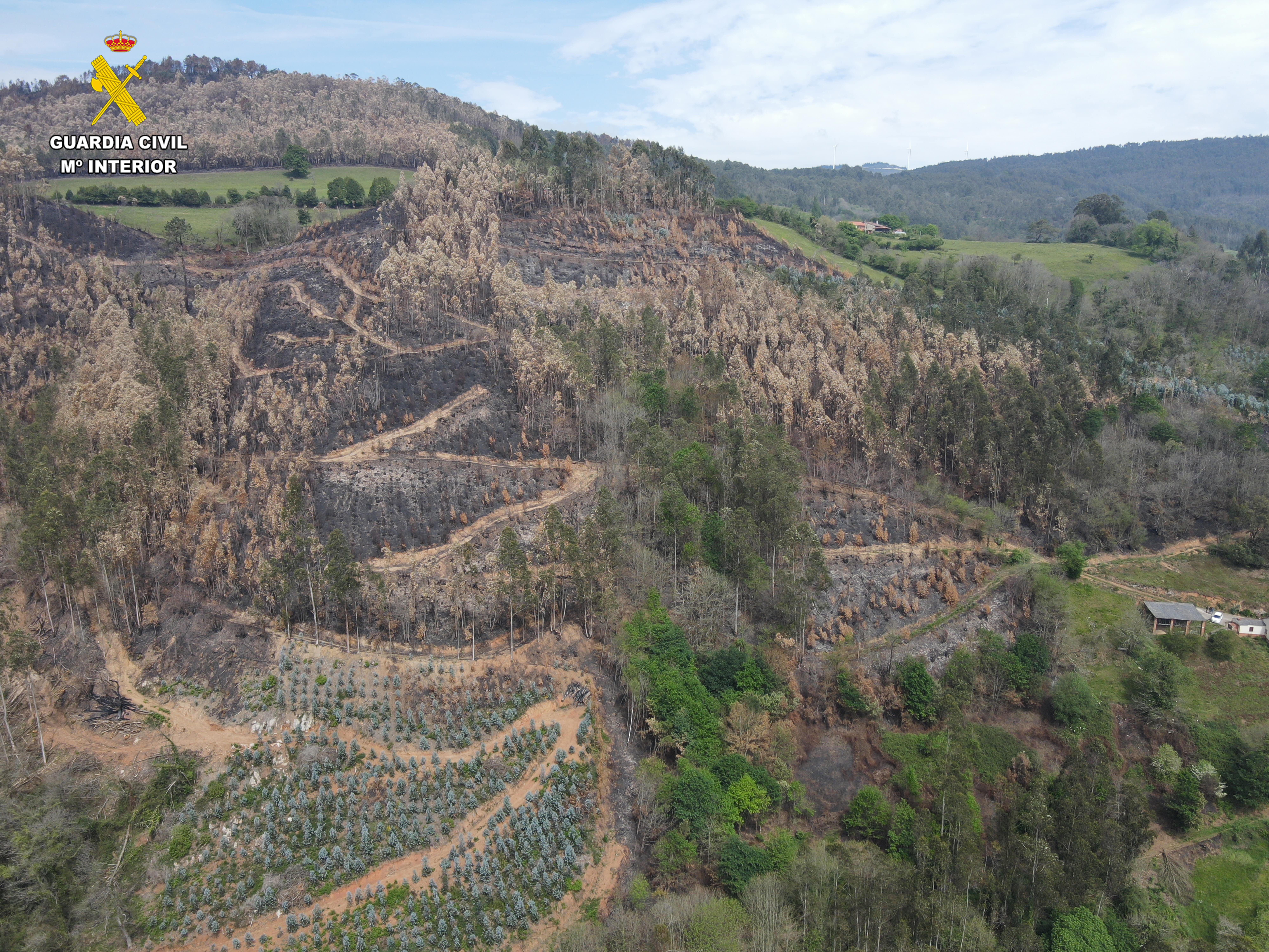 Un investigado por el fuego de Las Regueras de 2023 Un investigado por el fuego de Las Regueras de 2023