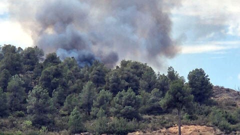 Els experts alerten que Catalunya viur&agrave; un &quot;canvi de paisatge&quot; arran de l'emerg&egrave;ncia clim&agrave;tica