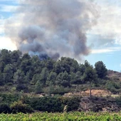 Els experts alerten que Catalunya viurà un "canvi de paisatge" arran de l'emergència climàtica Els experts alerten que Catalunya viurà un "canvi de paisatge" arran de l'emergència climàtica