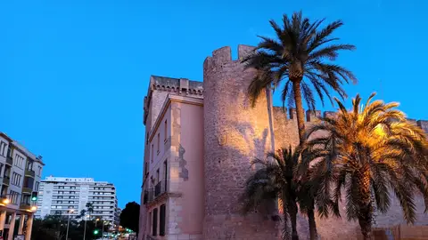 Palacio de Altamira de Elche. Palacio de Altamira de Elche.