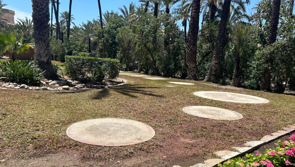 Hort del Xocolater de Elche.