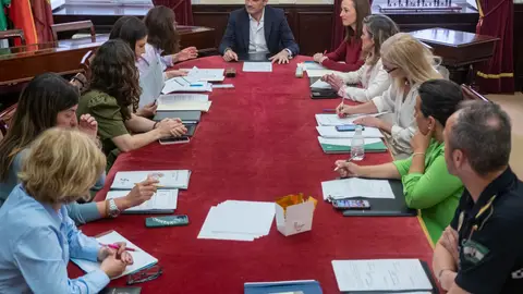 La comisión de seguimiento de violencia de género de Cádiz en una reunión La comisión de seguimiento de violencia de género de Cádiz en una reunión