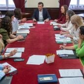 La comisión de seguimiento de violencia de género de Cádiz en una reunión