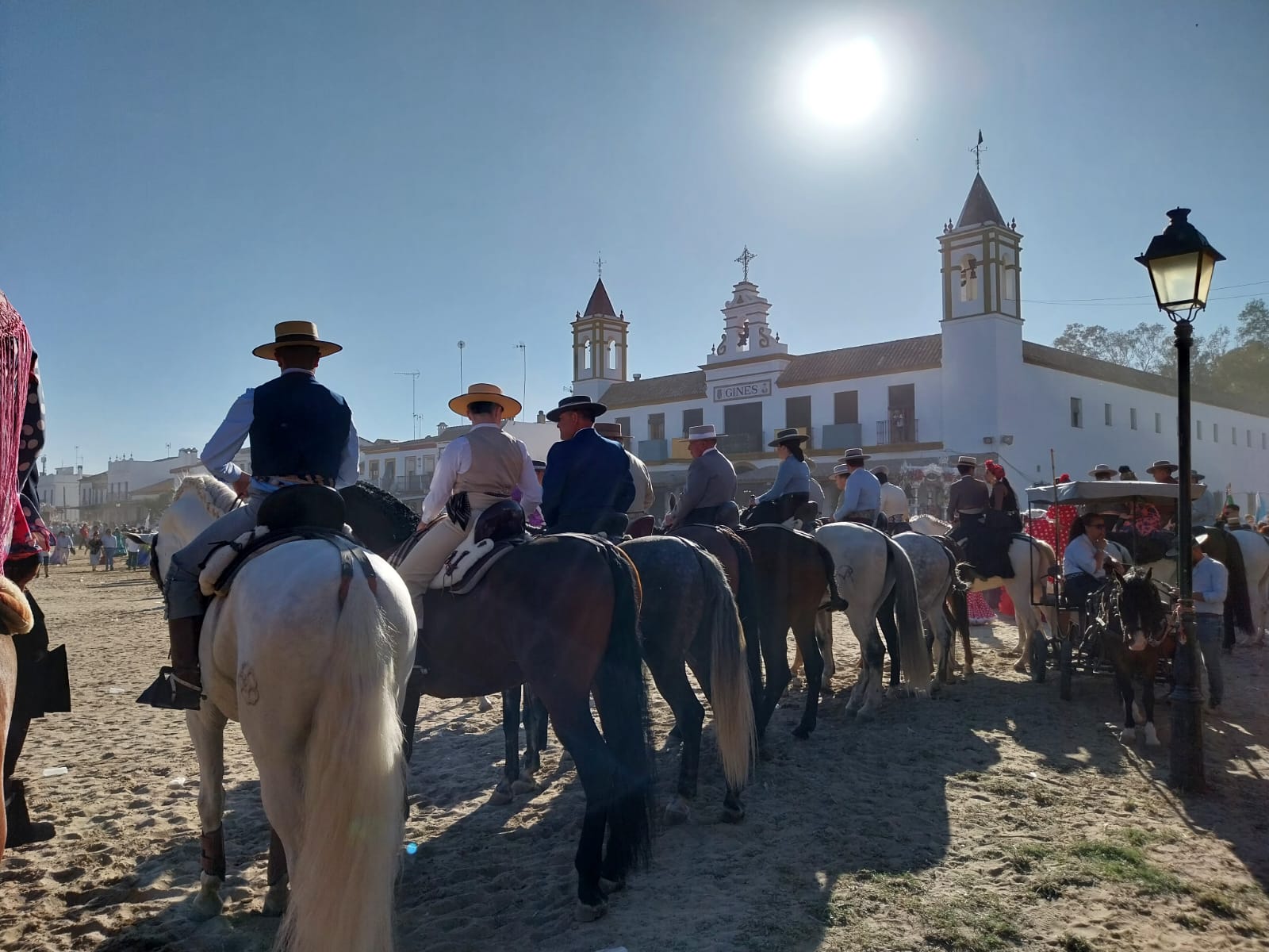Las novedades de la Ley de Bienestar animal no reducen los animales muertos en el Rocio Las novedades de la Ley de Bienestar animal no reducen los animales muertos en el Rocio