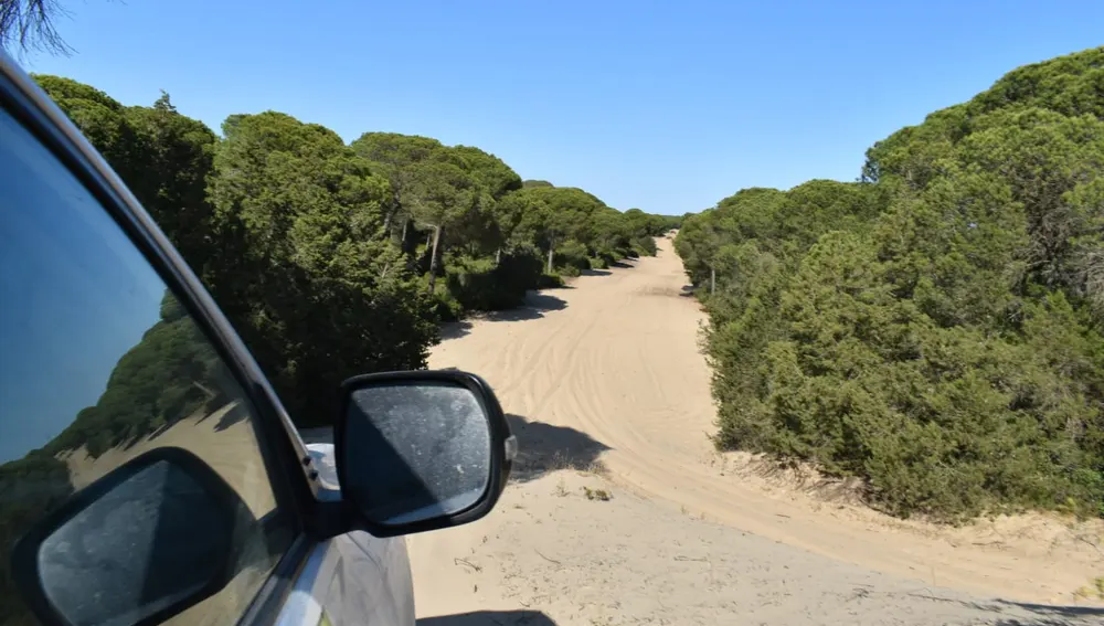 Visitando en 4x4 el Parque Nacional de Doñana