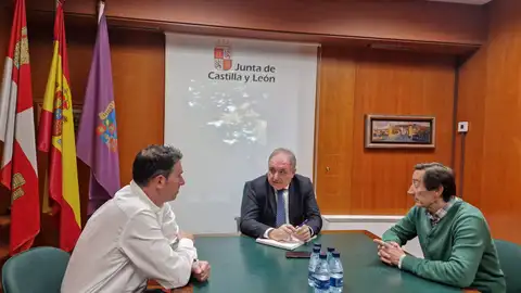 La Junta estudiará los cuidados necesarios para mantener los BIC de Vertavillo y Hérmedes de Cerrato .