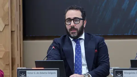 El empresario Víctor de Aldama, en la comisión de investigación de las mascarillas en el Parlament El empresario Víctor de Aldama, en la comisión de investigación de las mascarillas en el Parlament