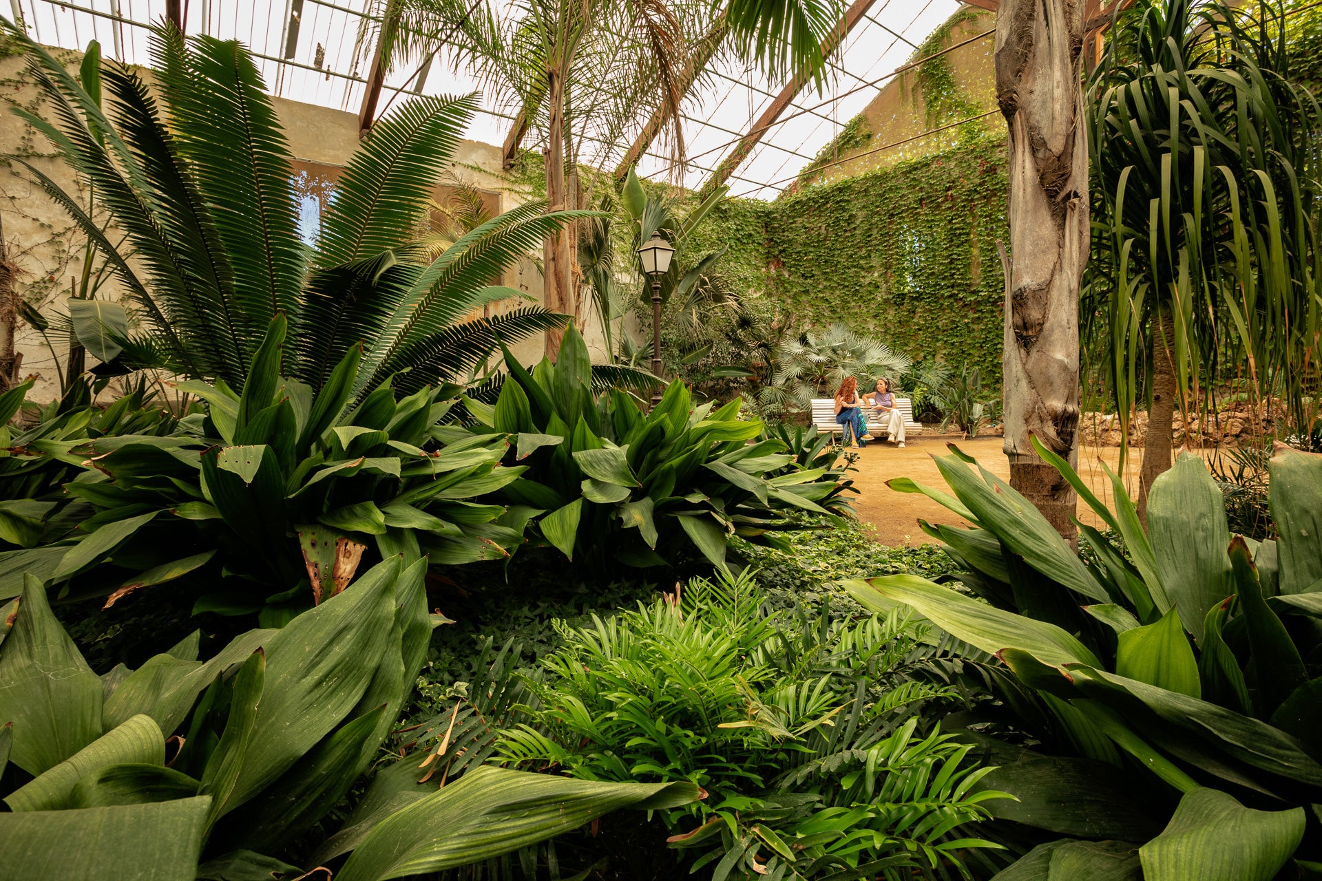 Disfruta del jardín histórico del Parc Samà de Cambrils Disfruta del jardín histórico del Parc Samà de Cambrils