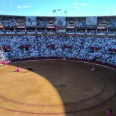 Toros