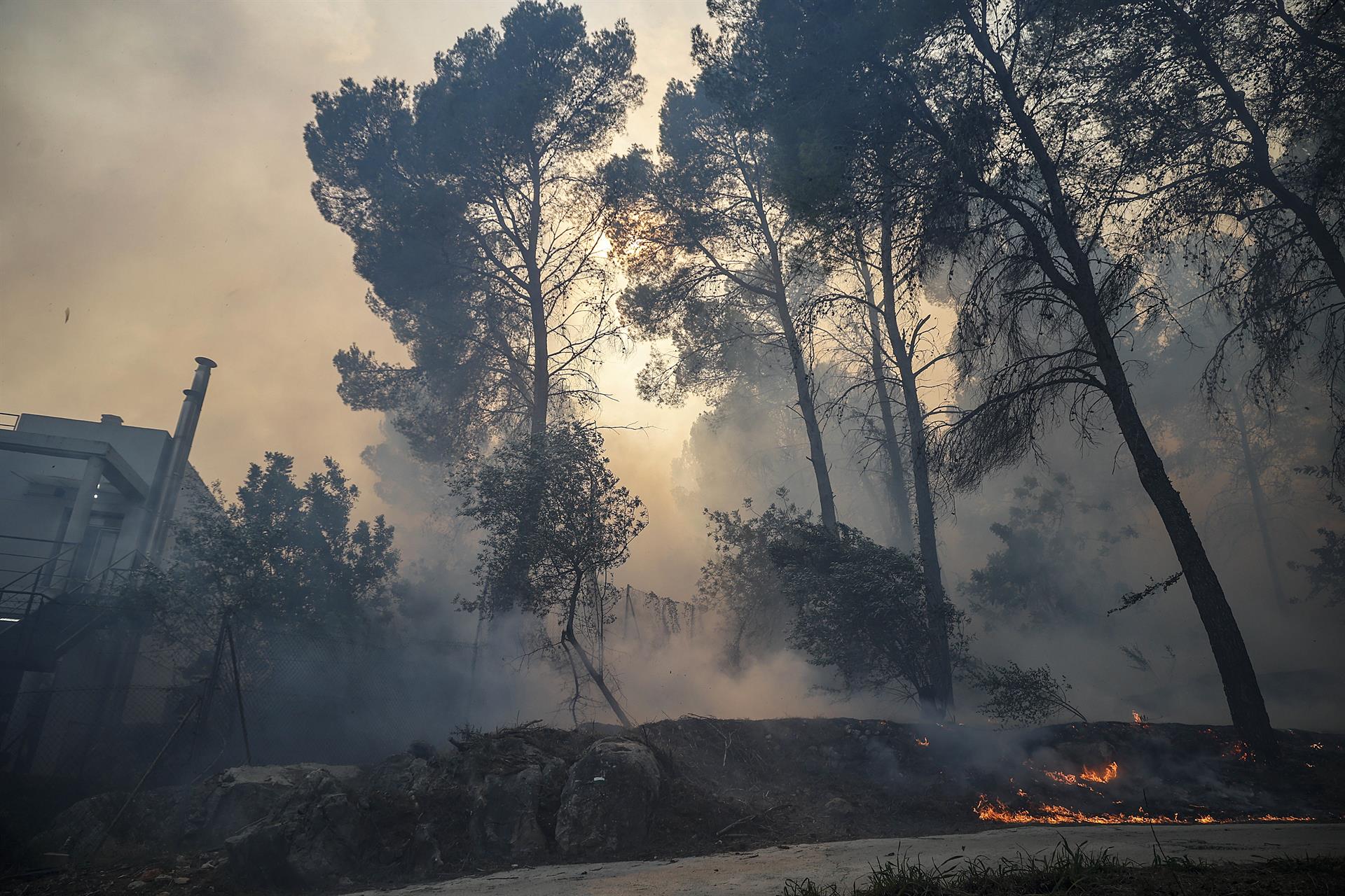 El Consell destinará 342.000€ para mitigar la erosión en la zona del incendio de Montitxelvo El Consell destinará 342.000€ para mitigar la erosión en la zona del incendio de Montitxelvo