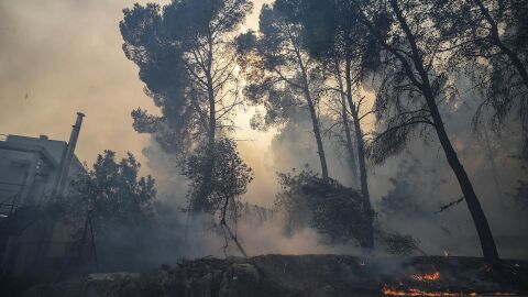 Una zona afectada por el fuego en Montitxelvo
