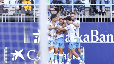El M&aacute;laga celebra un gol en La Rosaleda 