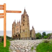 Cartel 43 Foro de Asociaciones y Gestores Culturales en León