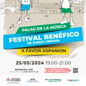 Festival benéfico Festival benéfico