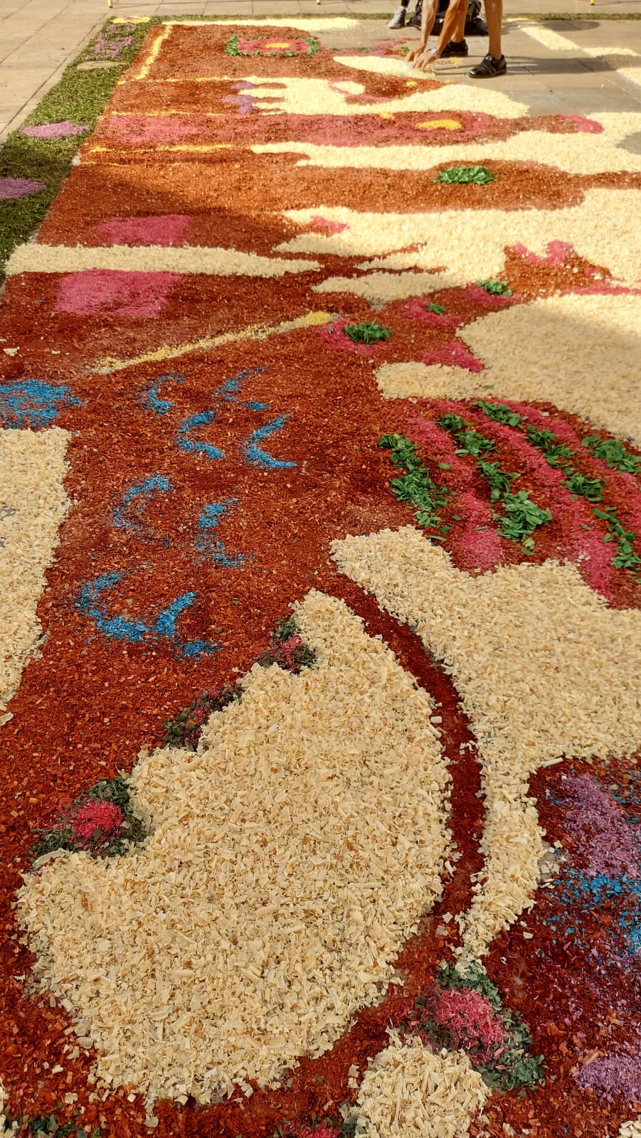 La Geltrú s’omplirà de colors amb les catifes del Corpus del proper 1 de juny La Geltrú s’omplirà de colors amb les catifes del Corpus del proper 1 de juny