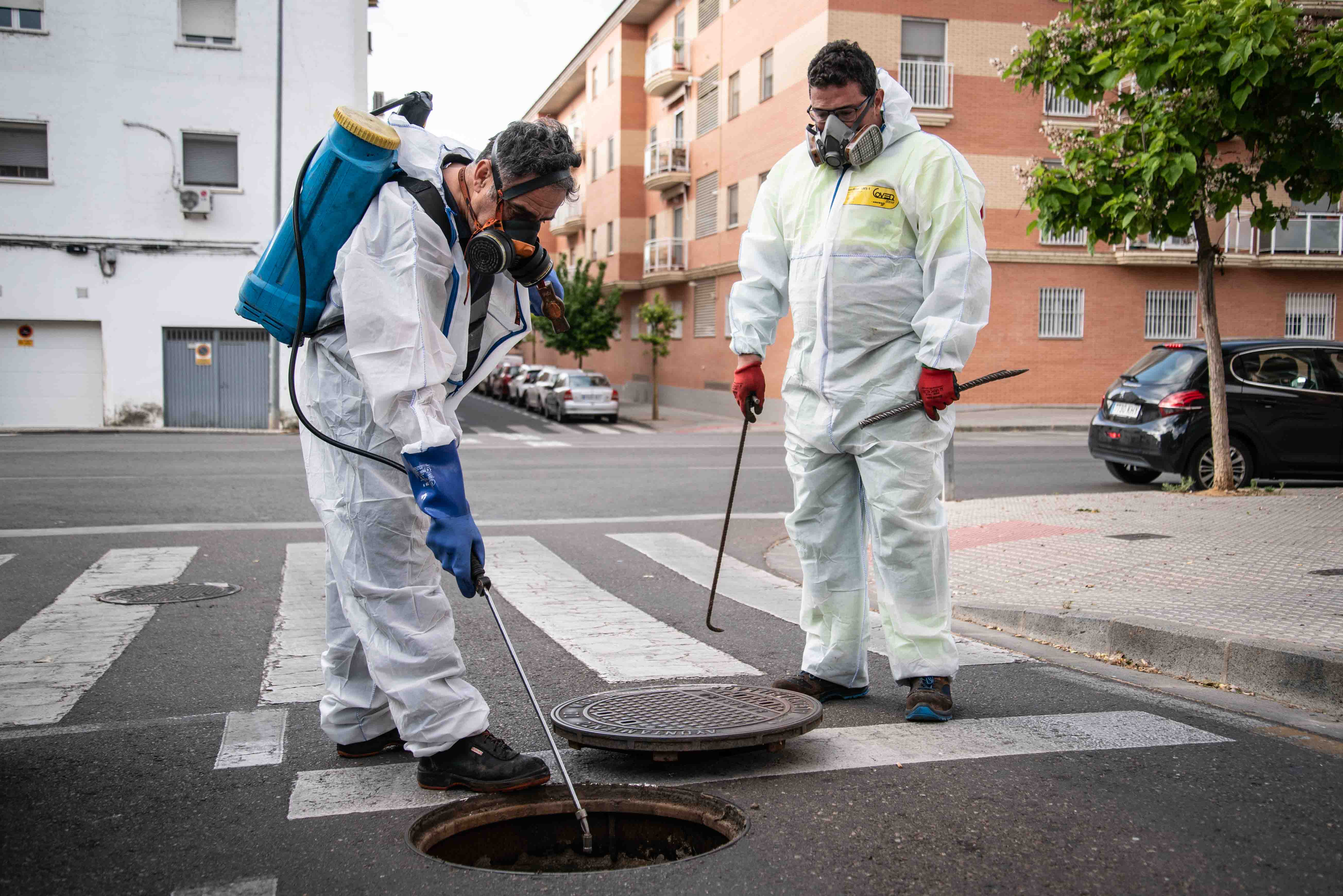 El Ayuntamiento está realizando la campaña preventiva general de desratización y desinsectación por toda la ciudad El Ayuntamiento está realizando la campaña preventiva general de desratización y desinsectación por toda la ciudad