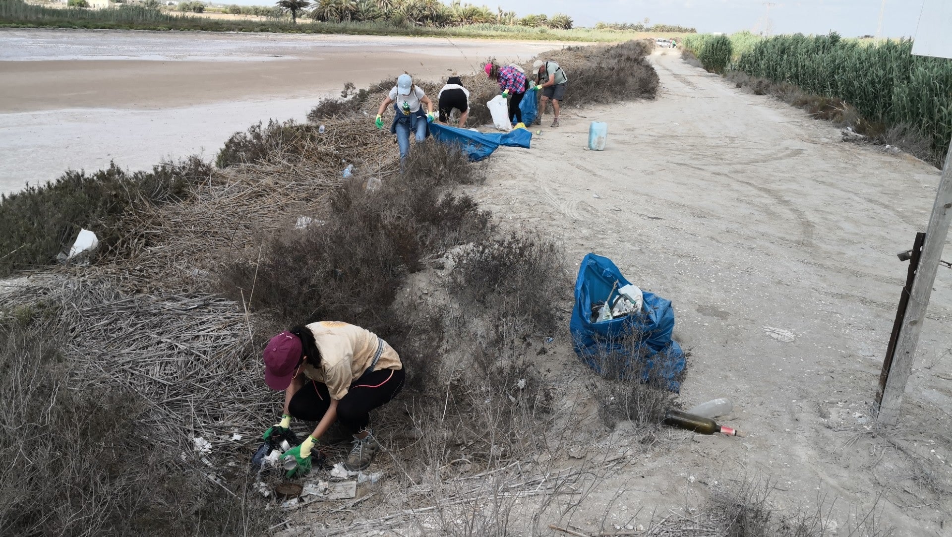 Recogen más de 500 kilos de residuos en el azarbe Ancho de Los Carrizales de Elche Recogen más de 500 kilos de residuos en el azarbe Ancho de Los Carrizales de Elche