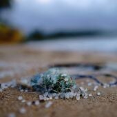 Imagen de archivo de microplásticos.