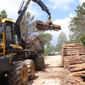 Una màquina retira troncs d'un bosc de Santa Coloma de Farners. Una màquina retira troncs d'un bosc de Santa Coloma de Farners.