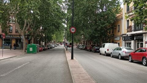 Avenida de Guadalajara de Alcal&aacute; de Henares