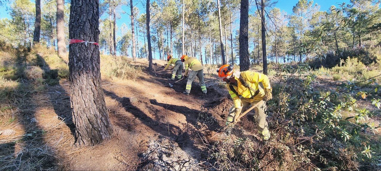 El DOE publica la Orden de Época de Peligro Alto de Incendios Forestales, que se extenderá del 1 de junio al 15 de octubre El DOE publica la Orden de Época de Peligro Alto de Incendios Forestales, que se extenderá del 1 de junio al 15 de octubre