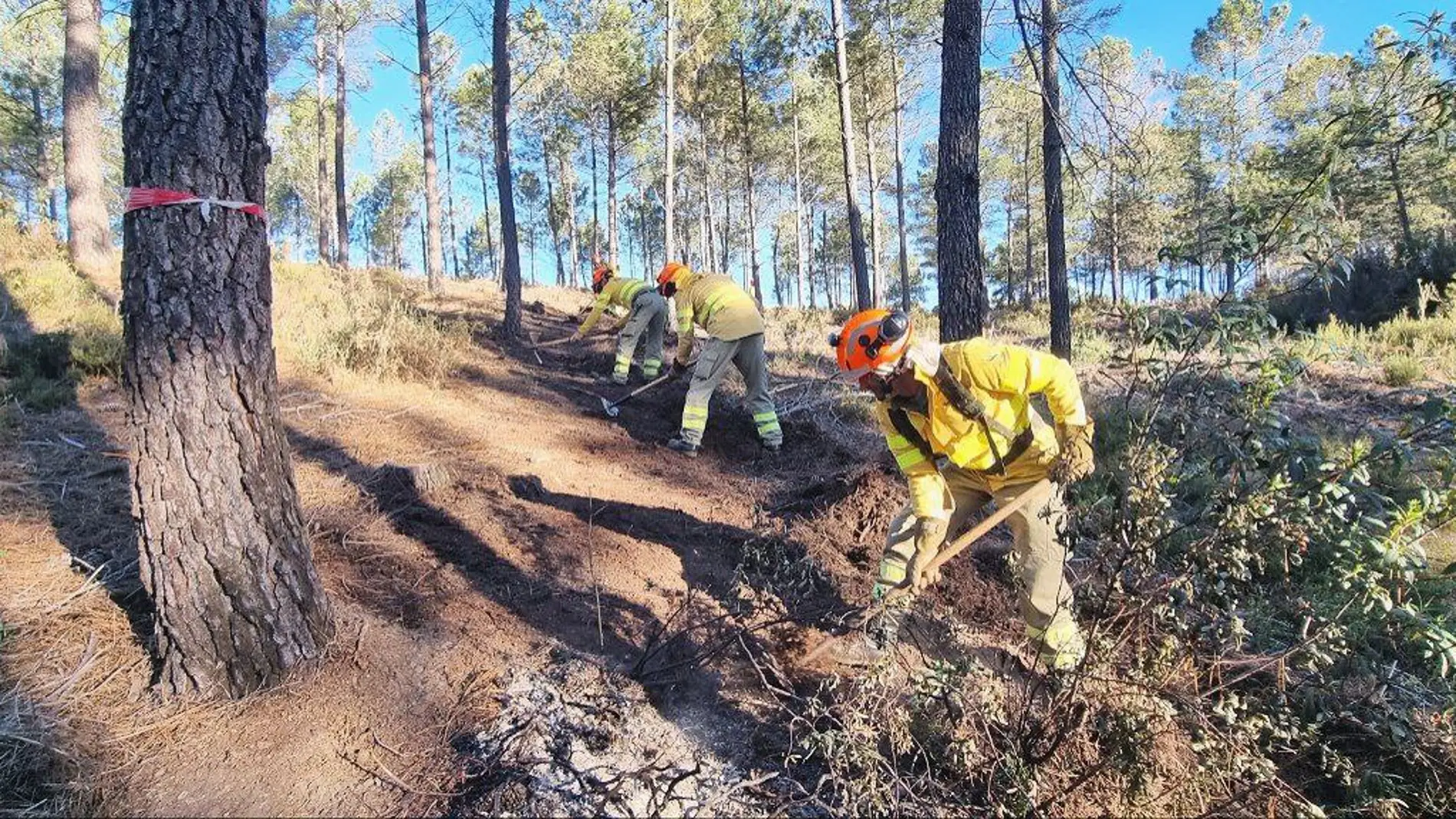 El DOE publica la Orden de Época de Peligro Alto de Incendios Forestales, que se extenderá del 1 de junio al 15 de octubre
