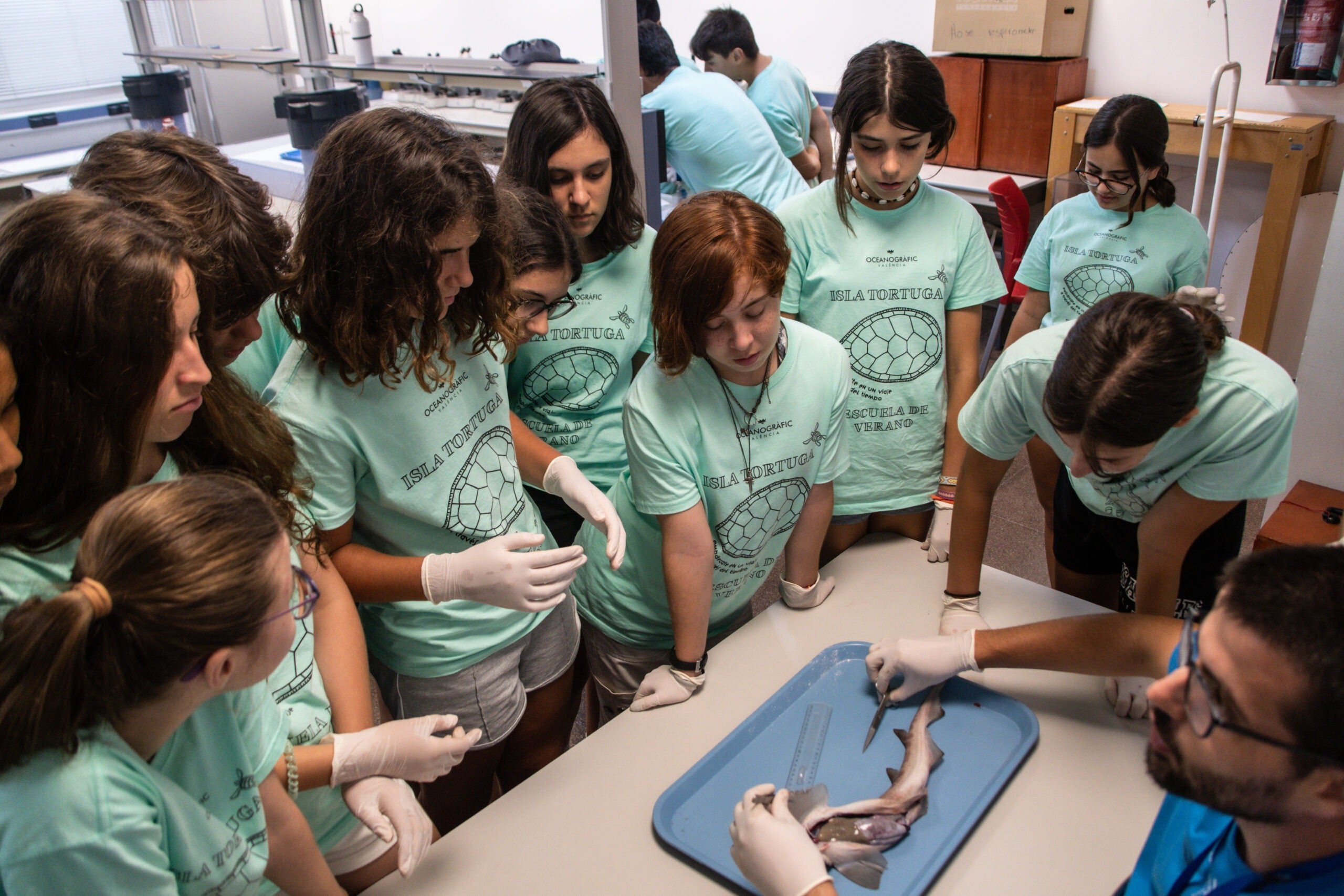 Embárcate en la Aventura del Cambio este Verano en el Oceanogràfic Embárcate en la Aventura del Cambio este Verano en el Oceanogràfic