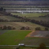 O Psoe critica a 'insensibilidade' do PP ao negarse a axudar os agricultores da Limia O Psoe critica a 'insensibilidade' do PP ao negarse a axudar os agricultores da Limia